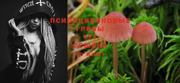 марки nbome Балабаново