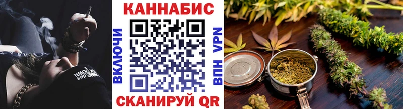 МАРИХУАНА SATIVA & INDICA  сколько стоит  OMG tor  Кузнецк 